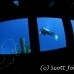 wreck_kittiwake_gc_h_0206_cay3630.jpg